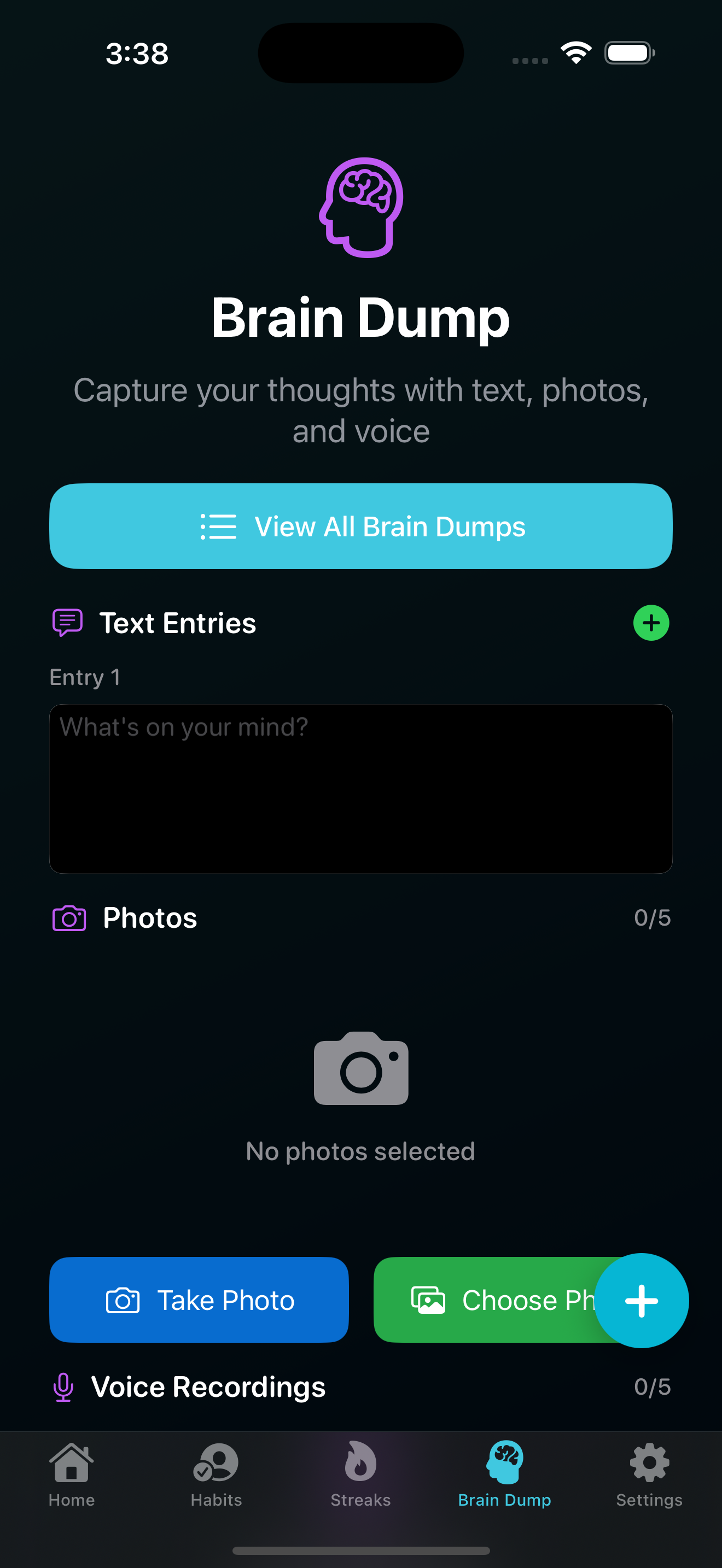 iPhone Brain Dump Screen