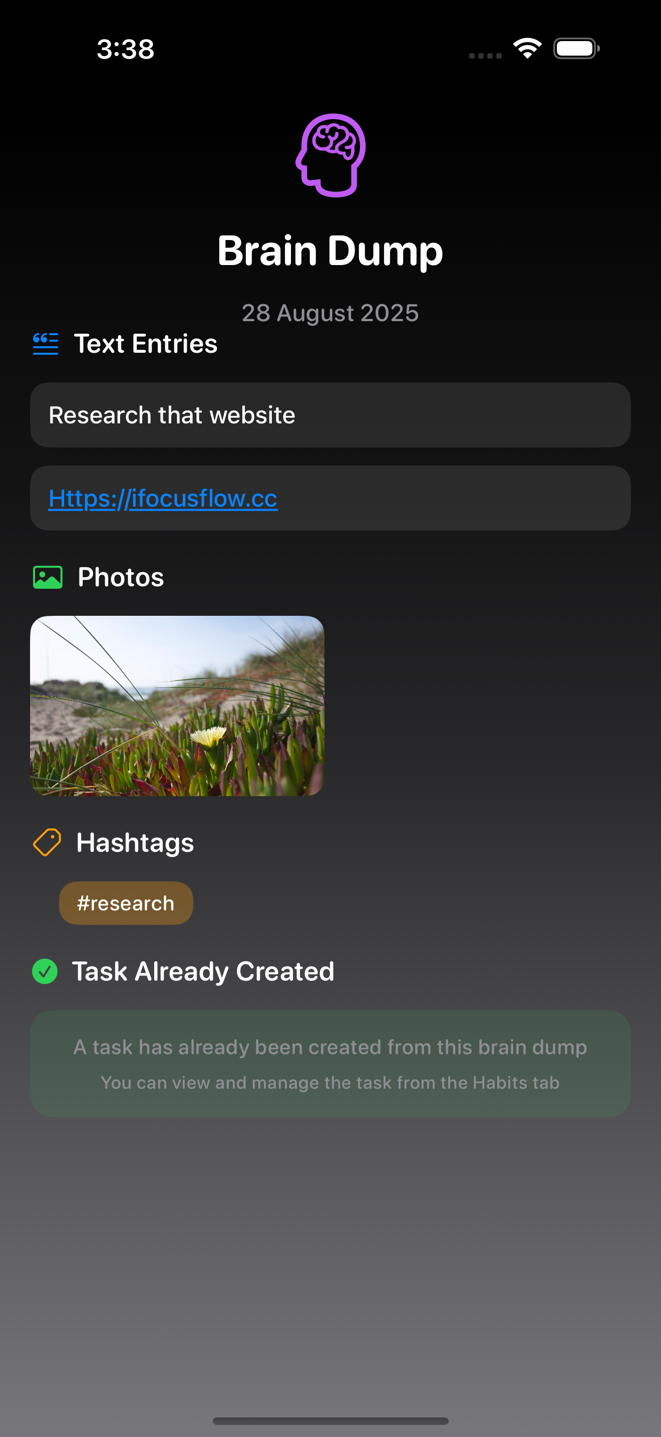 iPhone Brain Dump Detail Screen